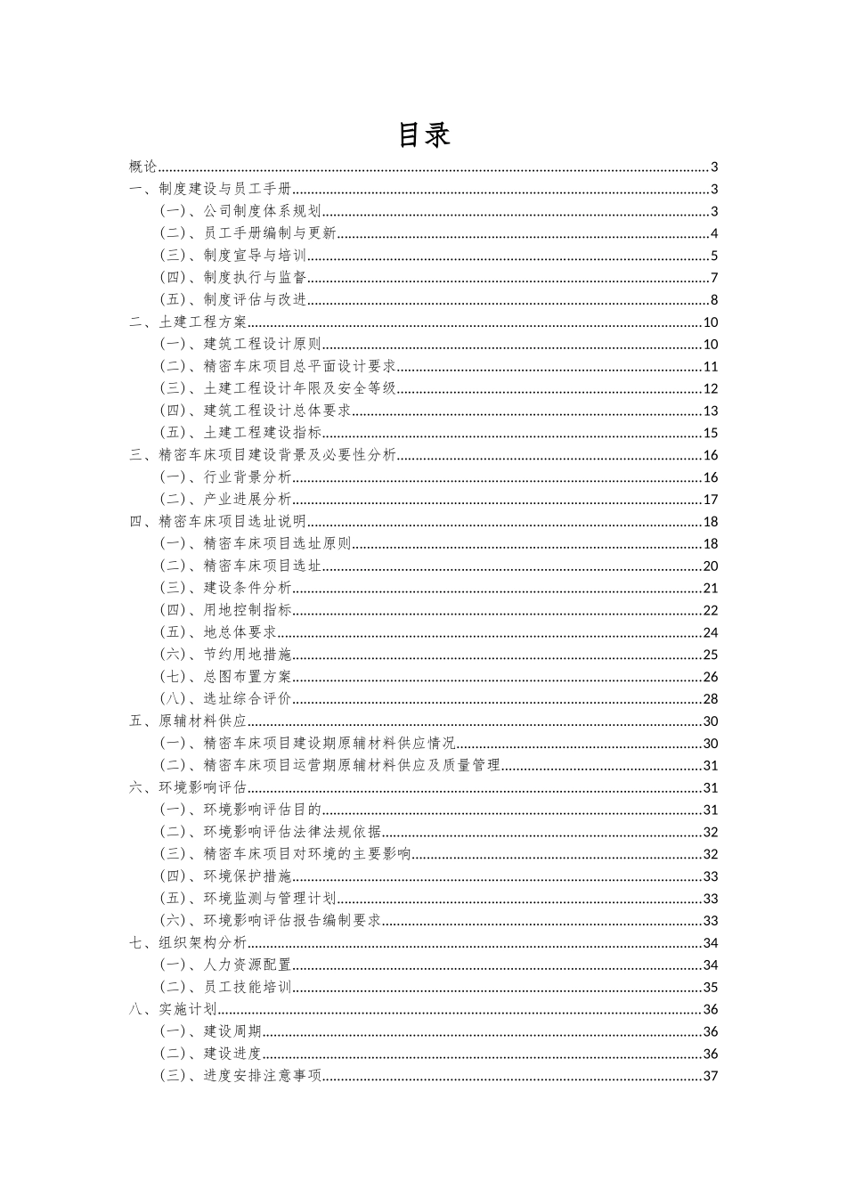 2025年精密车床项目可行性研究报告_第2页