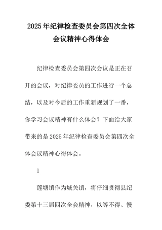 2025年纪律检查委员会第四次全体会议精神心得体会