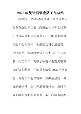 2025年统计局调查队工作总结