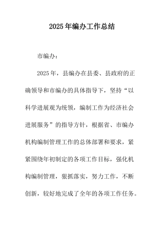 2025年编办工作总结