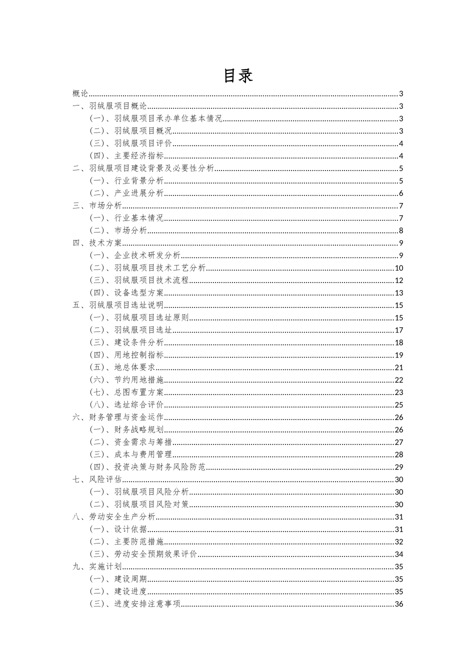 2025年羽绒服项目深度研究分析报告_第2页