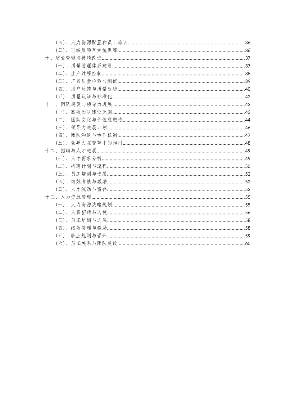 2025年羽绒服项目深度研究分析报告_第3页