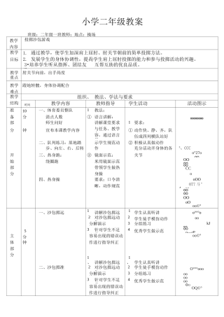 二年级体育教案《投掷沙包》