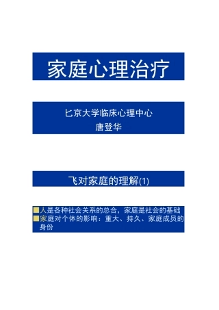 家庭心理治疗1