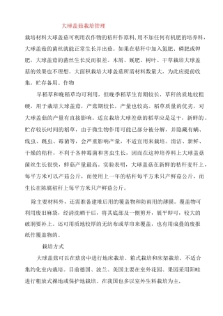 大球盖菇栽培管理