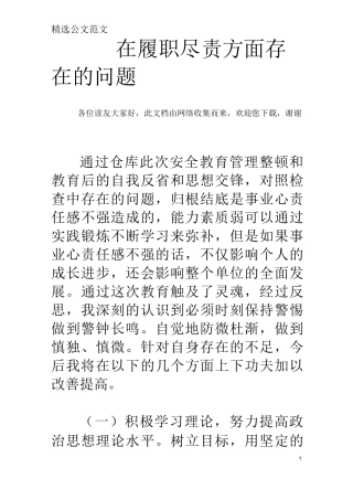 在履职尽责方面存在的问题