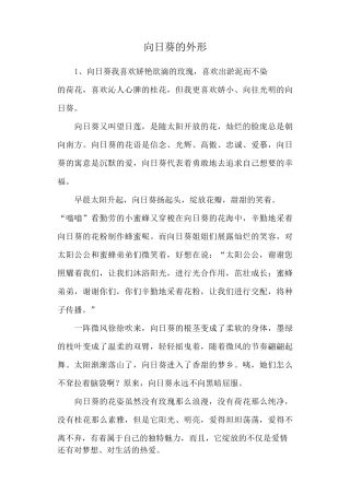 向日葵的外形