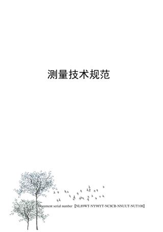 测量技术规范完整版