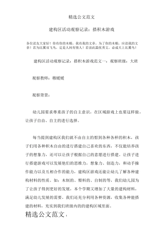 建构区活动观察记录：搭积木游戏