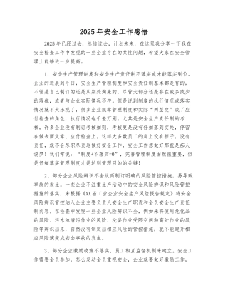 2025年安全工作感悟