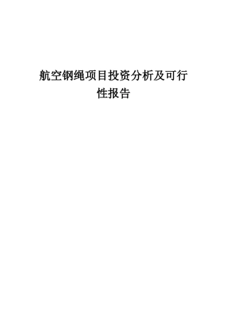 2025年航空钢绳项目投资分析及可行性报告
