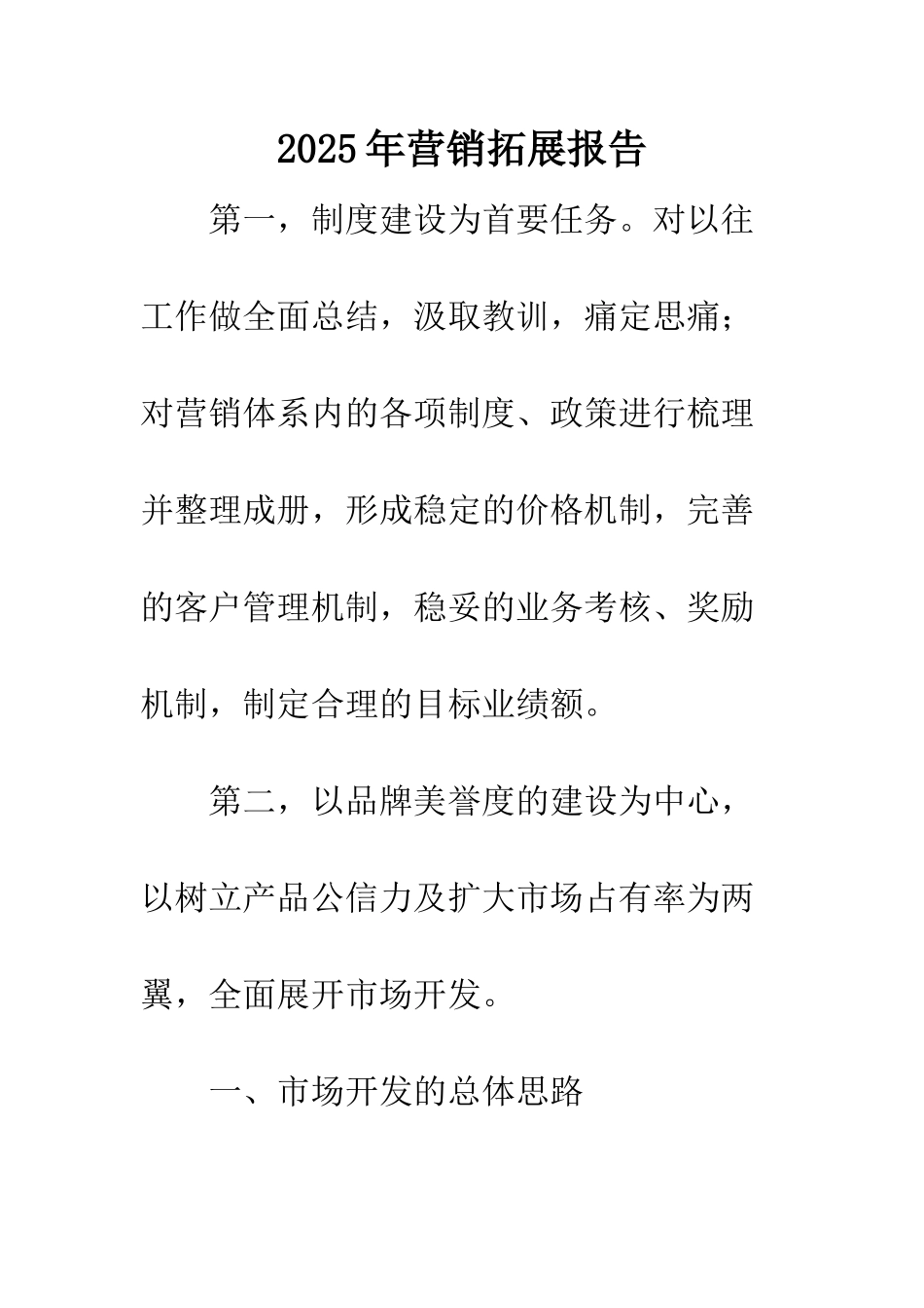 2025年营销拓展报告_第1页