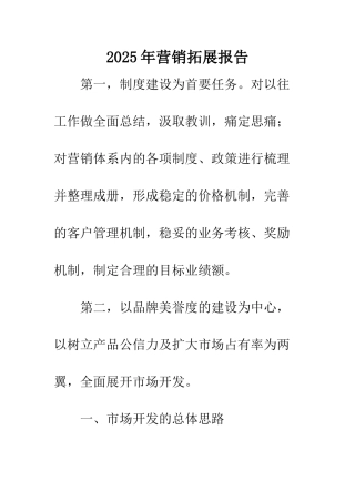 2025年营销拓展报告