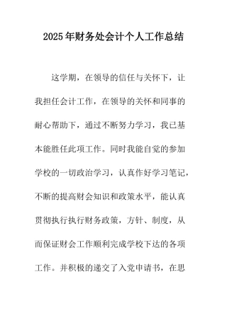 2025年财务处会计个人工作总结