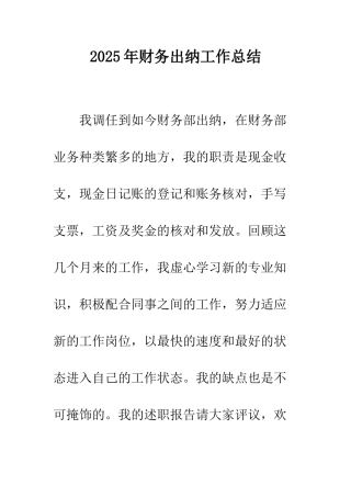 2025年财务出纳工作总结
