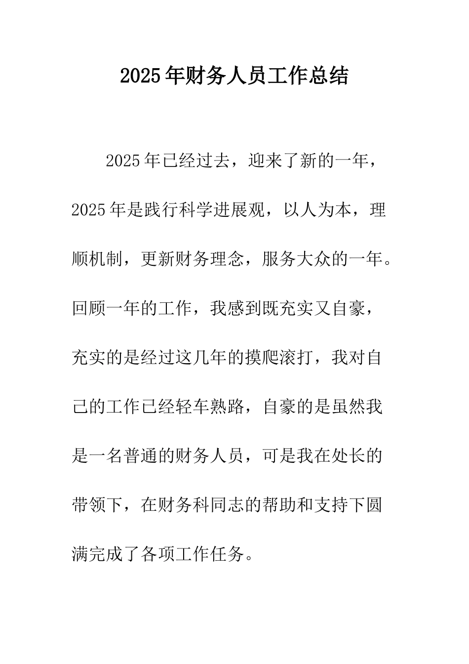 2025年财务人员工作总结_第1页