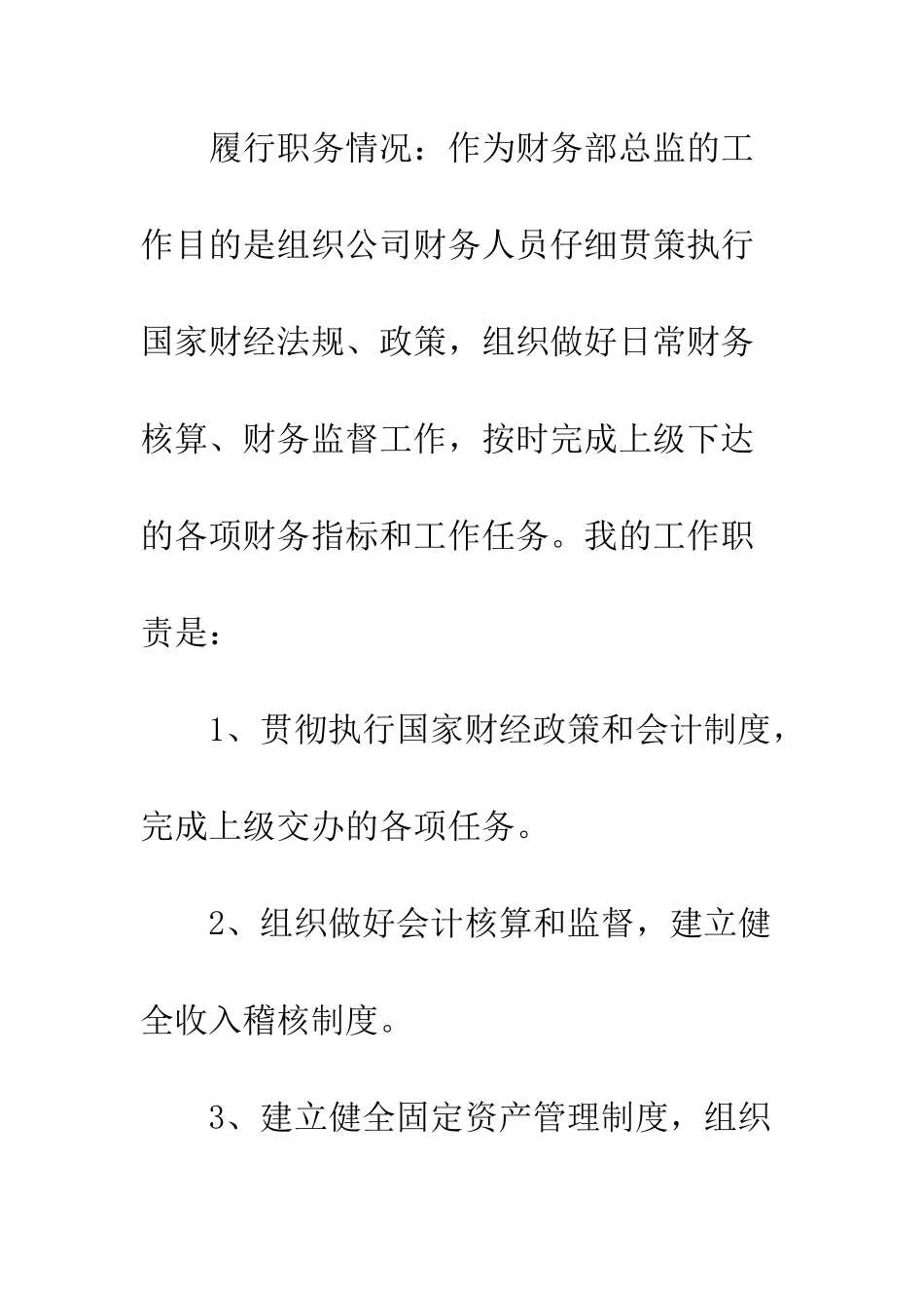 2025年财务总监工作总结_第2页