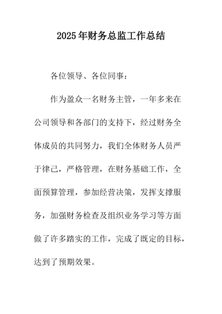 2025年财务总监工作总结