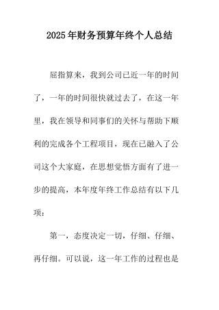 2025年财务预算年终个人总结