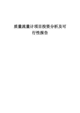 2025年质量流量计项目投资分析及可行性报告