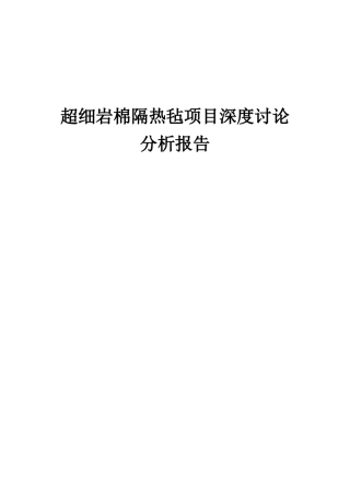 2025年超细岩棉隔热毡项目深度研究分析报告
