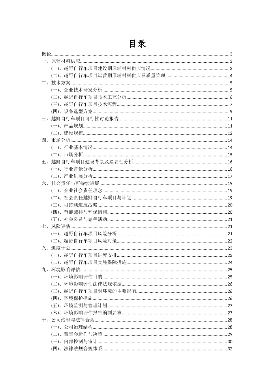 2025年越野自行车项目可行性研究报告_第2页
