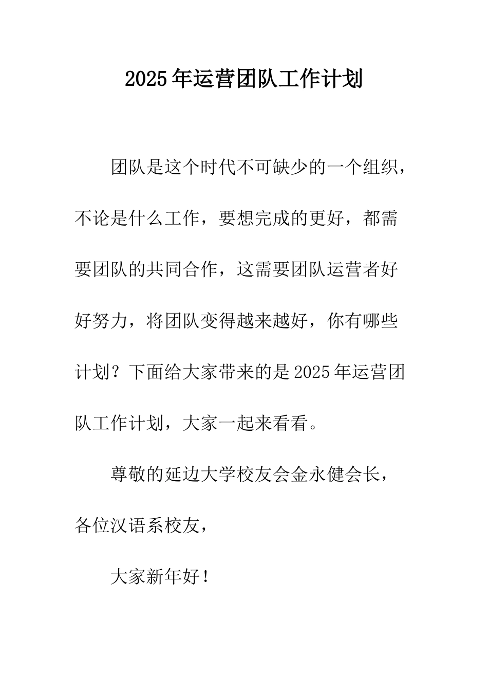 2025年运营团队工作计划_第1页