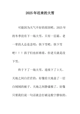 2025年迟来的大雪