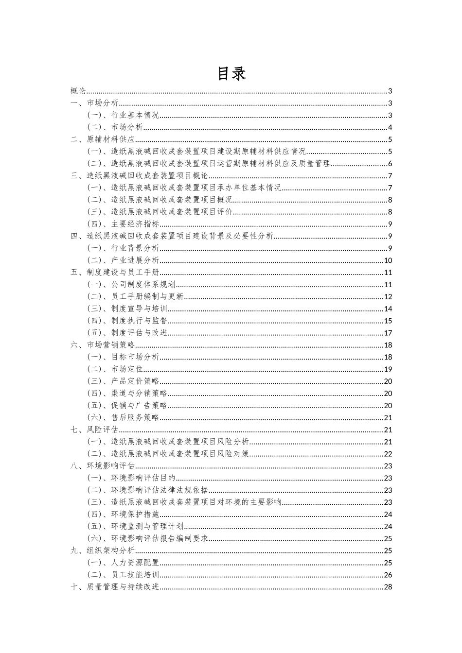 2025年造纸黑液碱回收成套装置项目可行性分析报告_第2页