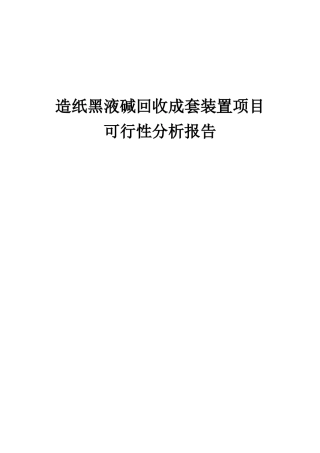 2025年造纸黑液碱回收成套装置项目可行性分析报告