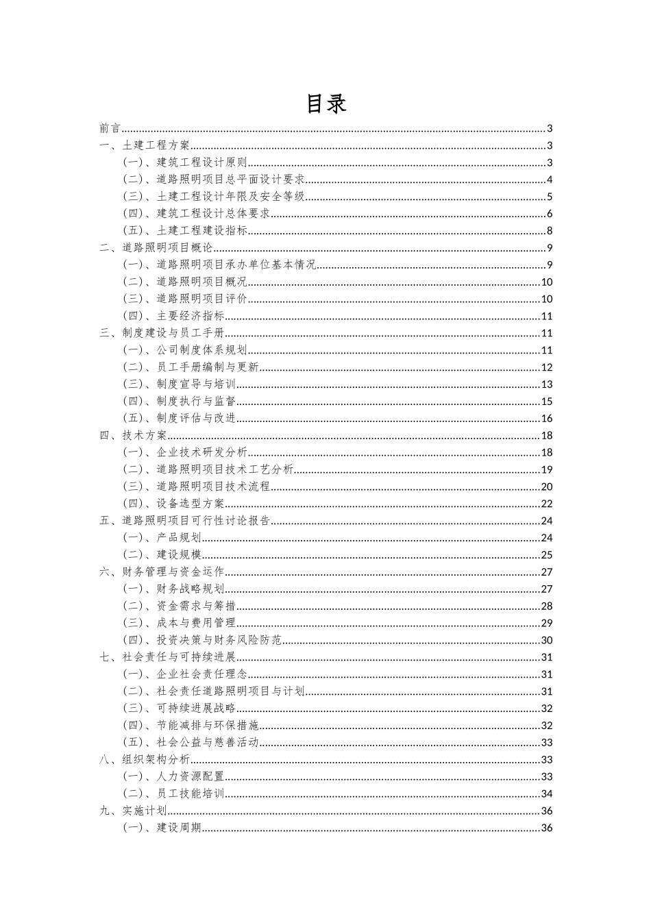 2025年道路照明项目可行性分析报告_第2页