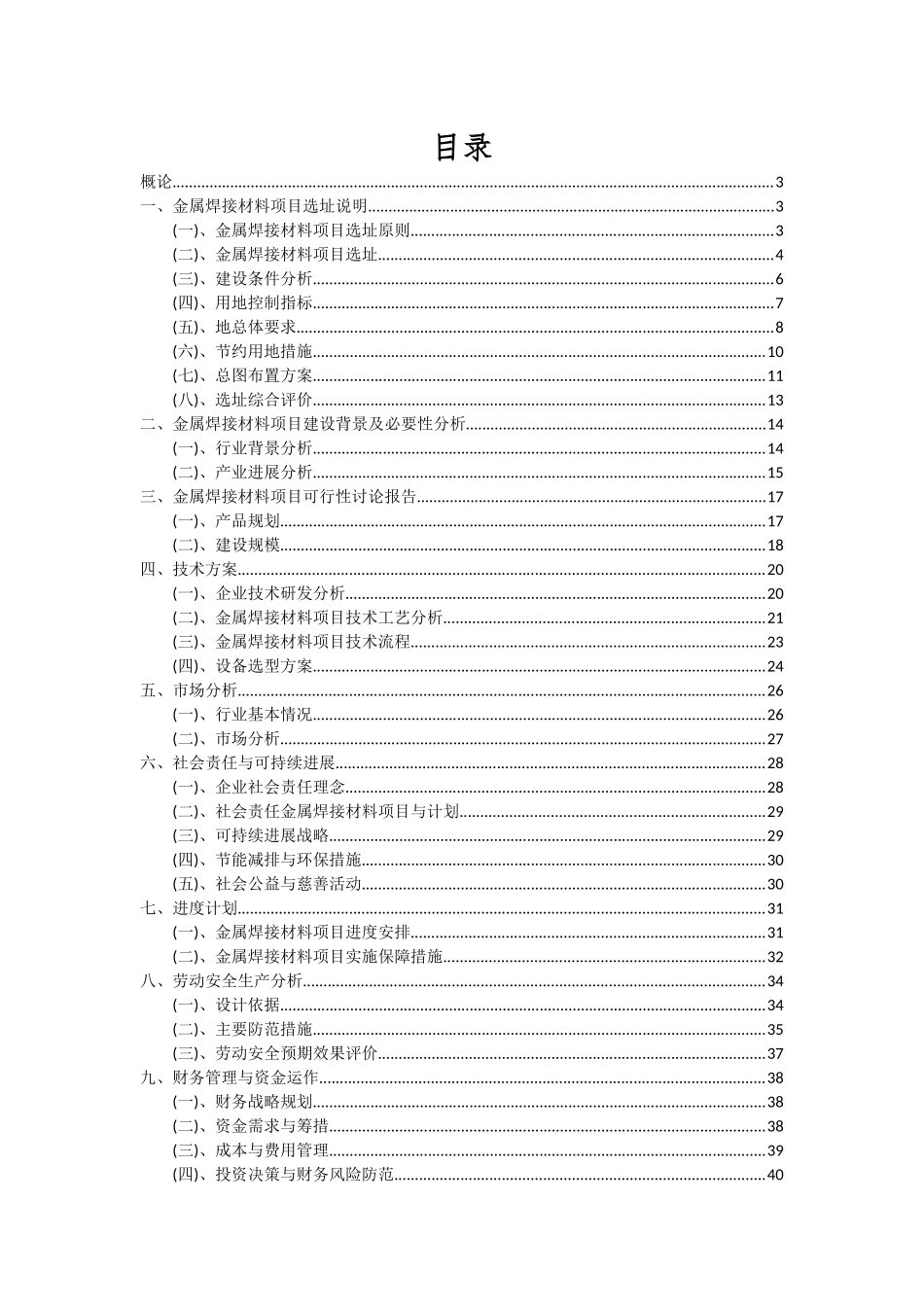 2025年金属焊接材料项目可行性分析报告_第2页