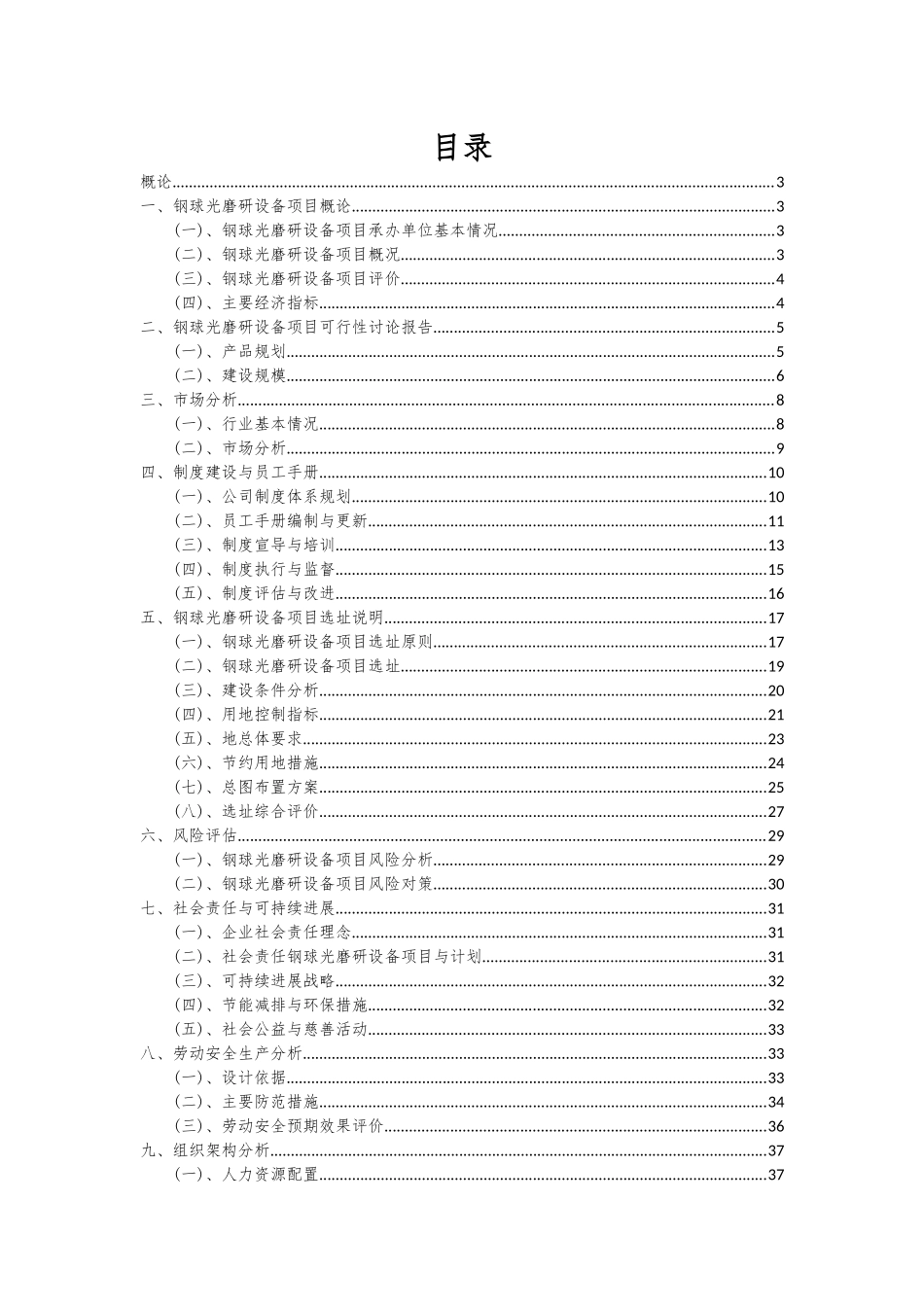 2025年钢球光磨研设备项目可行性研究报告_第2页