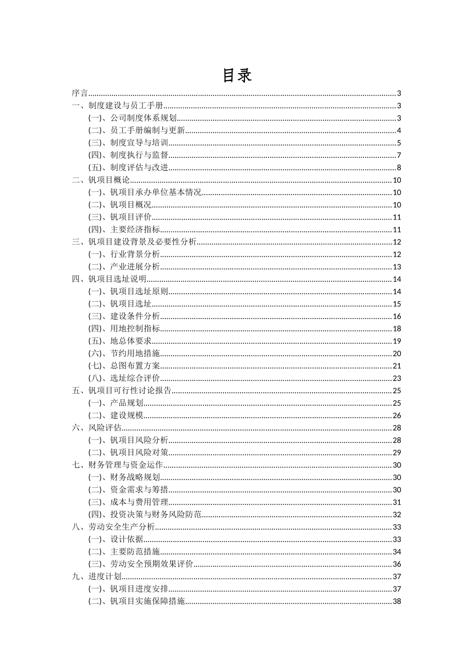 2025年钒项目可行性研究报告_第2页