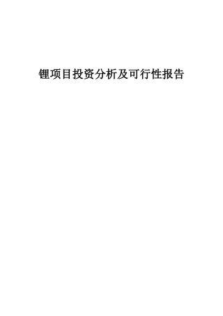 2025年锂项目投资分析及可行性报告