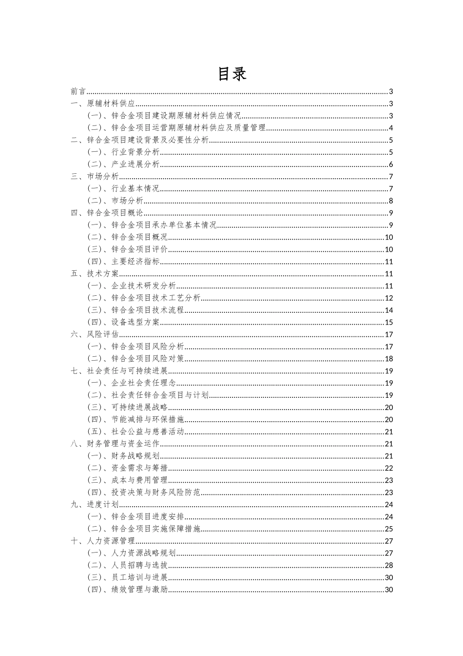 2025年锌合金项目可行性分析报告_第2页
