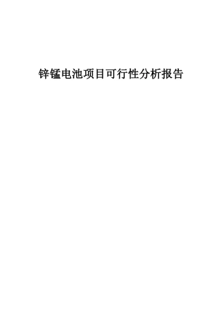 2025年锌锰电池项目可行性分析报告