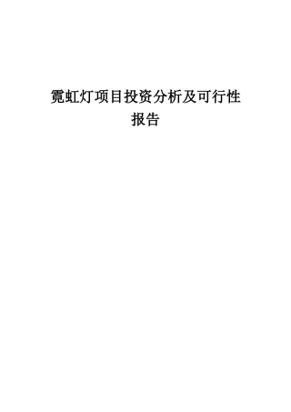 2025年霓虹灯项目投资分析及可行性报告
