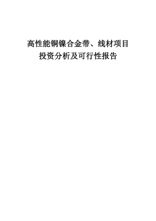 2025年高性能铜镍合金带、线材项目投资分析及可行性报告