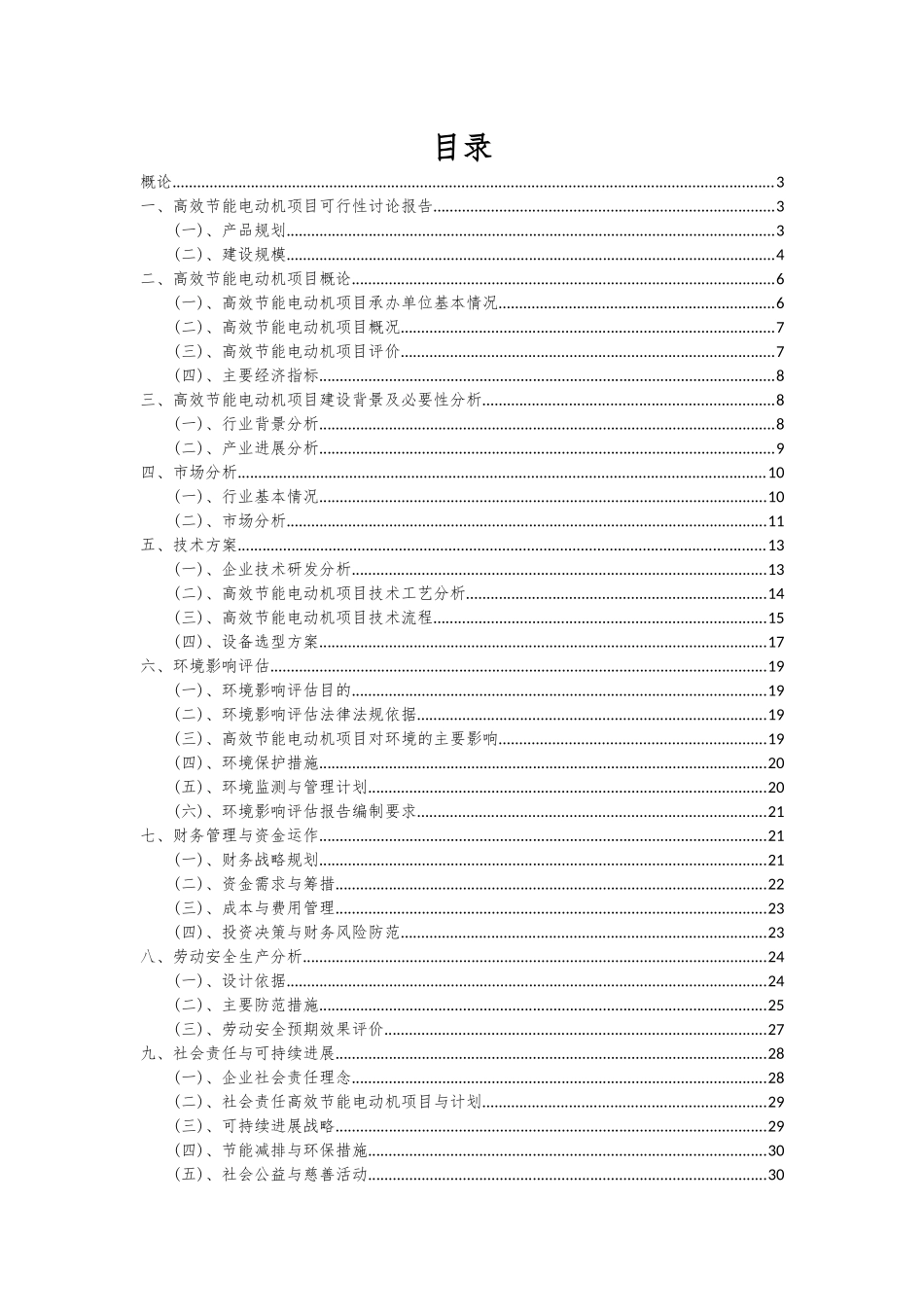 2025年高效节能电动机项目深度研究分析报告_第2页