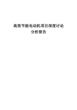 2025年高效节能电动机项目深度研究分析报告
