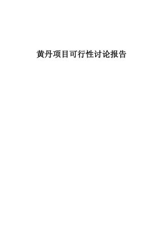 2025年黄丹项目可行性研究报告