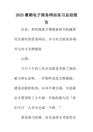 2025暑期电子商务网站实习总结报告