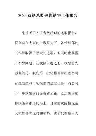 2025营销总监销售销售工作报告