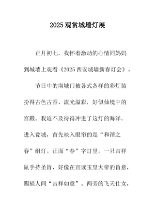 2025观赏城墙灯展