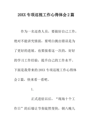 20XX专项巡视工作心得体会2篇