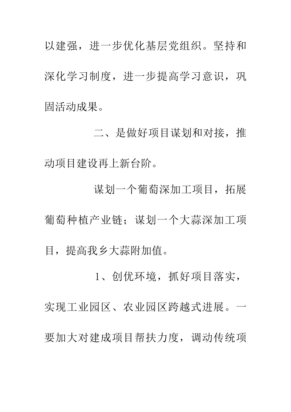 20XX乡镇工作计划_第2页