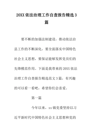 20XX依法治理工作自查报告精选3篇
