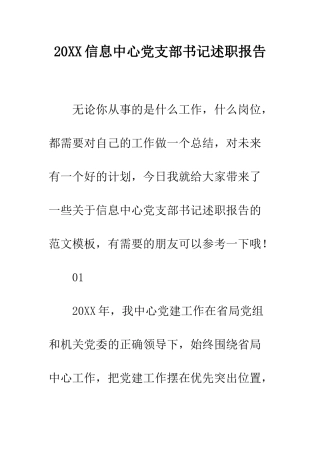 20XX信息中心党支部书记述职报告