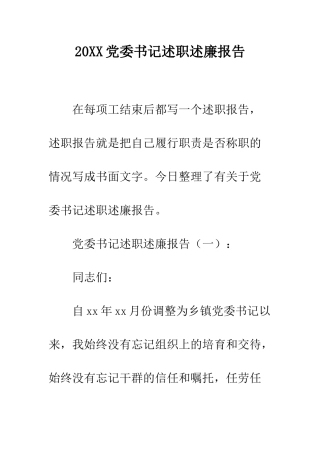 20XX党委书记述职述廉报告